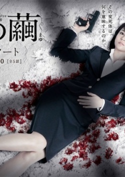 石の繭 殺人分析班, Ishi no Mayu Satsujin Bunsekihan, Stone`s Cocoon: Murder Analysis Squad, Stone`s Cocoon