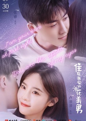 住在我家的花美男 , 非常男友 , Very Boyfriend , The Very Boyfriend , zhu zai wo jia de hua mei nan , fei chang nan you