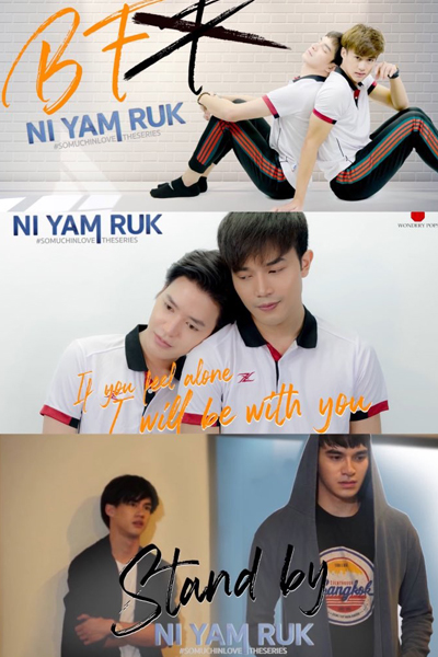 นิยามรัก , Ni Yam Ruk , Niyanruk: The Series , So Much In Love: The Series